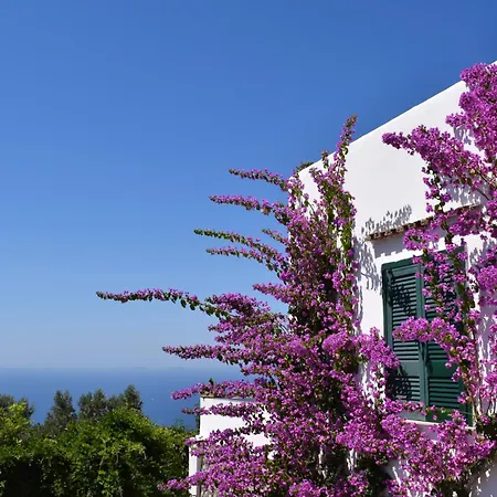 Campi By Capri Property Anacapri (Isola di Capri)